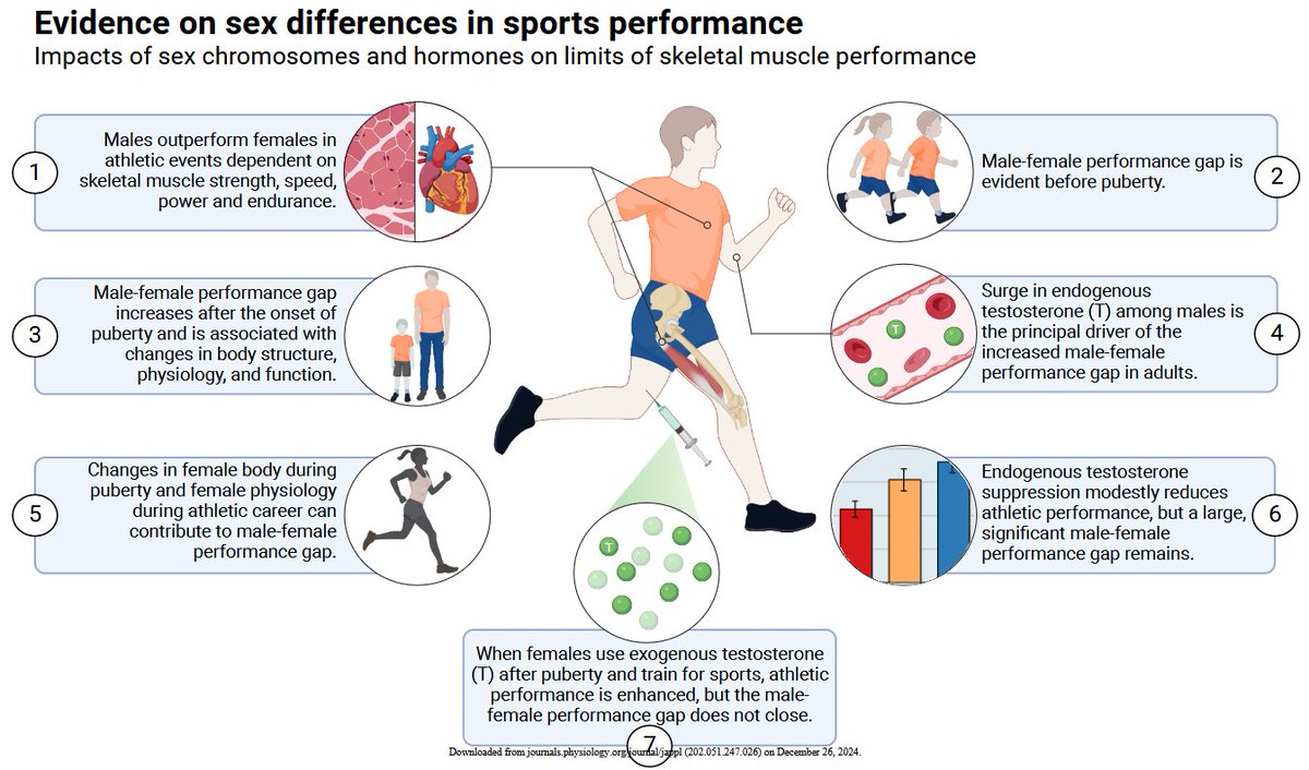 Evidence on sex differences in sports performance

pubmed.ncbi.nlm.nih.gov/39716906/