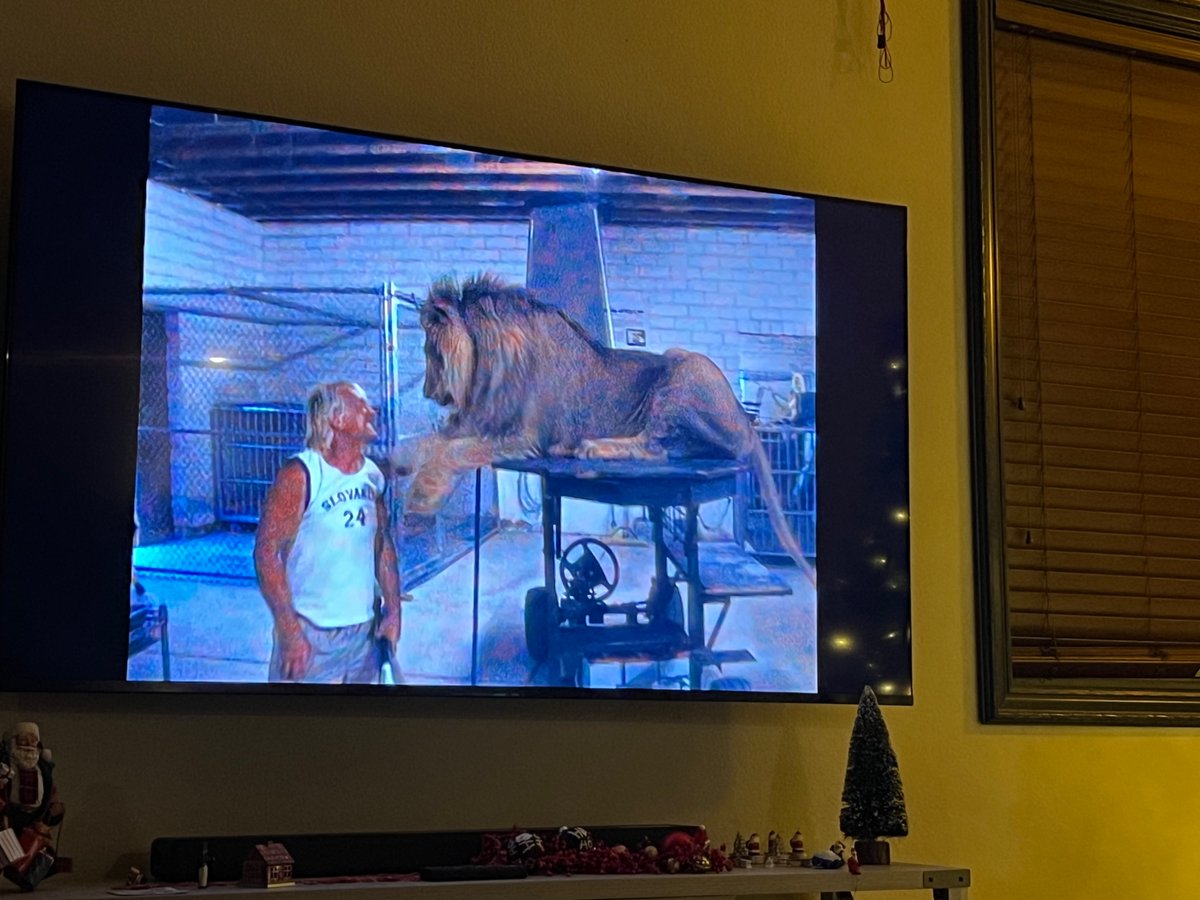 Synopsis 
The Flying Fercos 
delves into the lives of a family who share their home-and their stage-with over 20 lions…
Apple TV
Amazon+