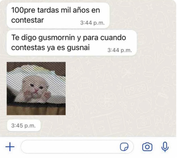 Guarromantico_'s tweet photo. Gusnai. https://t.co/l0lH7aaeJi
