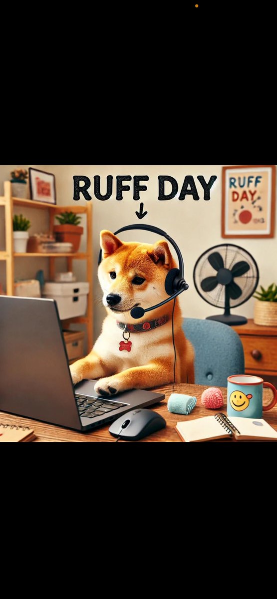 web__jj3's tweet photo. @lynk0x #ruffdays https://t.co/2GO4GZvV1y