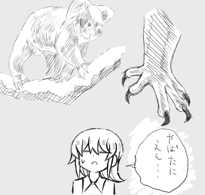 コアラの手が面白いことと一月中に多数の締切が重なってしまうことがわかった私 