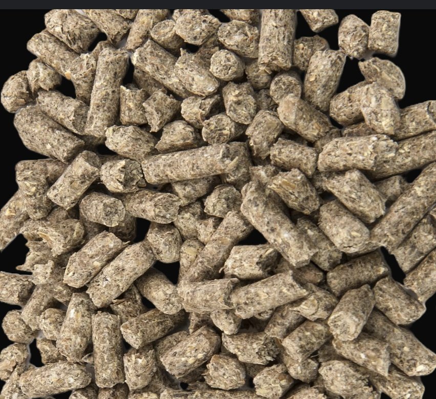 CedMunezero's tweet image. Why are broiler chicken feeds in pellet form? Pellets reduce waste, ensure balanced nutrition in every bite, and boost growth efficiency. This form supports healthier, faster-growing birds. #BroilerFarming #PoultryFeed #SustainableFarming #FarmersLife #agriculture