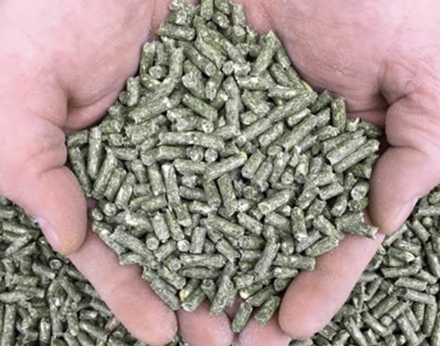 CedMunezero's tweet image. Why are broiler chicken feeds in pellet form? Pellets reduce waste, ensure balanced nutrition in every bite, and boost growth efficiency. This form supports healthier, faster-growing birds. #BroilerFarming #PoultryFeed #SustainableFarming #FarmersLife #agriculture