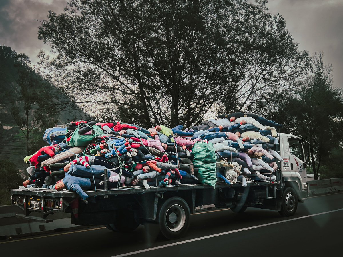 … Así es como termina la temporada navideña y arranca oficialmente el fin de año. #2025 #AñosViejos.