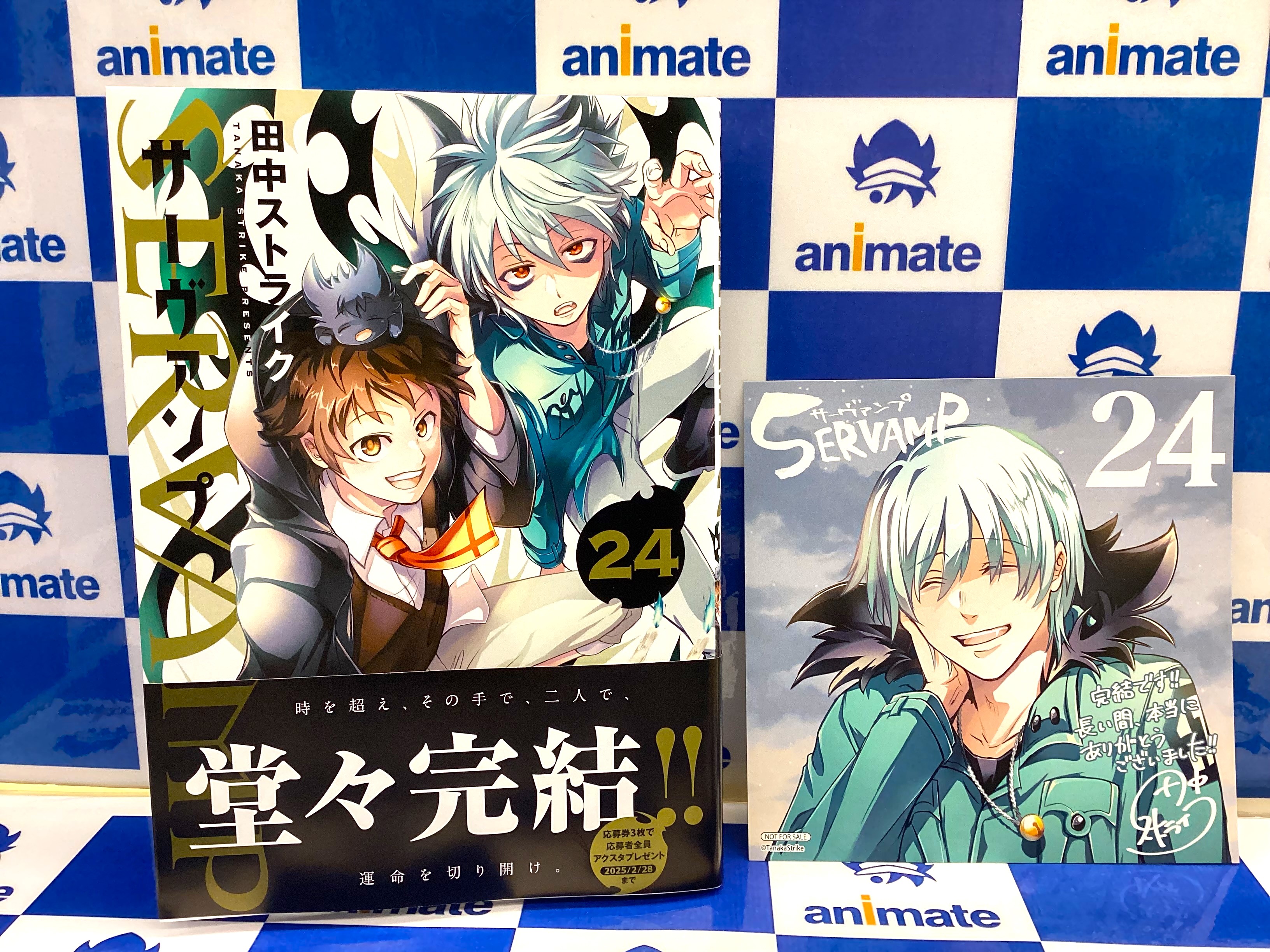 SERVAMP-サーヴァンプ- 公式 on X: 