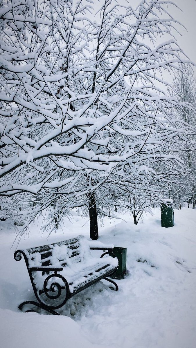 Solo quedan recuerdos hibernando aquellos momentos sentados en esa banca, que ahora se encuentra vacía. #BuenosDiasATodos ❄️ #Café ☕ #FelizViernesATodos 🌻🫶🏼