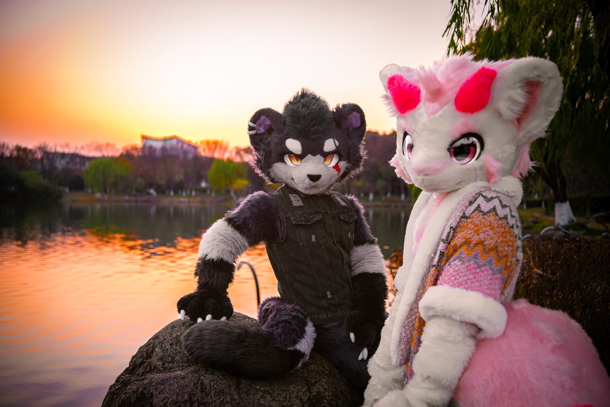 #FursuitFriday
这一刻的我们殊不知背后的夕阳这么美

2024年最后一个毛五和<a href="/yizhiSonder/">桑德Sande</a> 
毛替感谢：<a href="/0baoer0/">宝儿</a> 
📷&amp;🎨：<a href="/YaYaZaiOvO/">牙牙仔🌸</a>