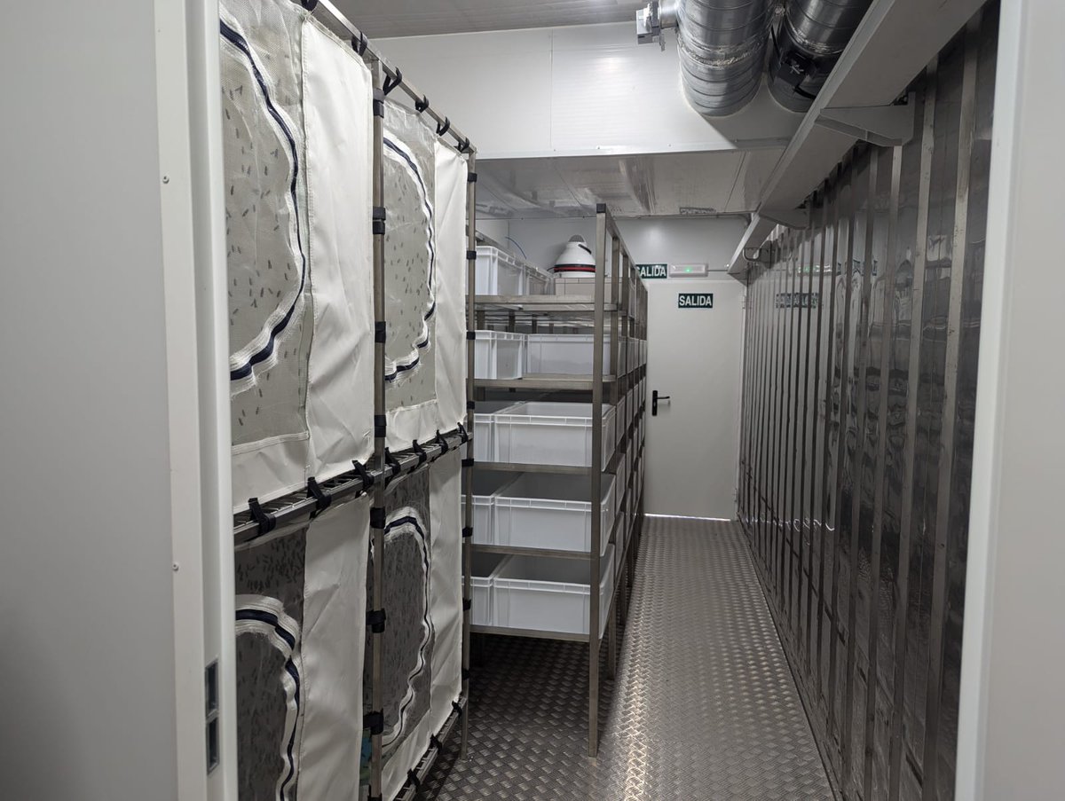 🌍🦗 Larvas de insectos y subproductos: una solución eficiente para reducir residuos en la alimentación animal. #Sostenibilidad #Innovación