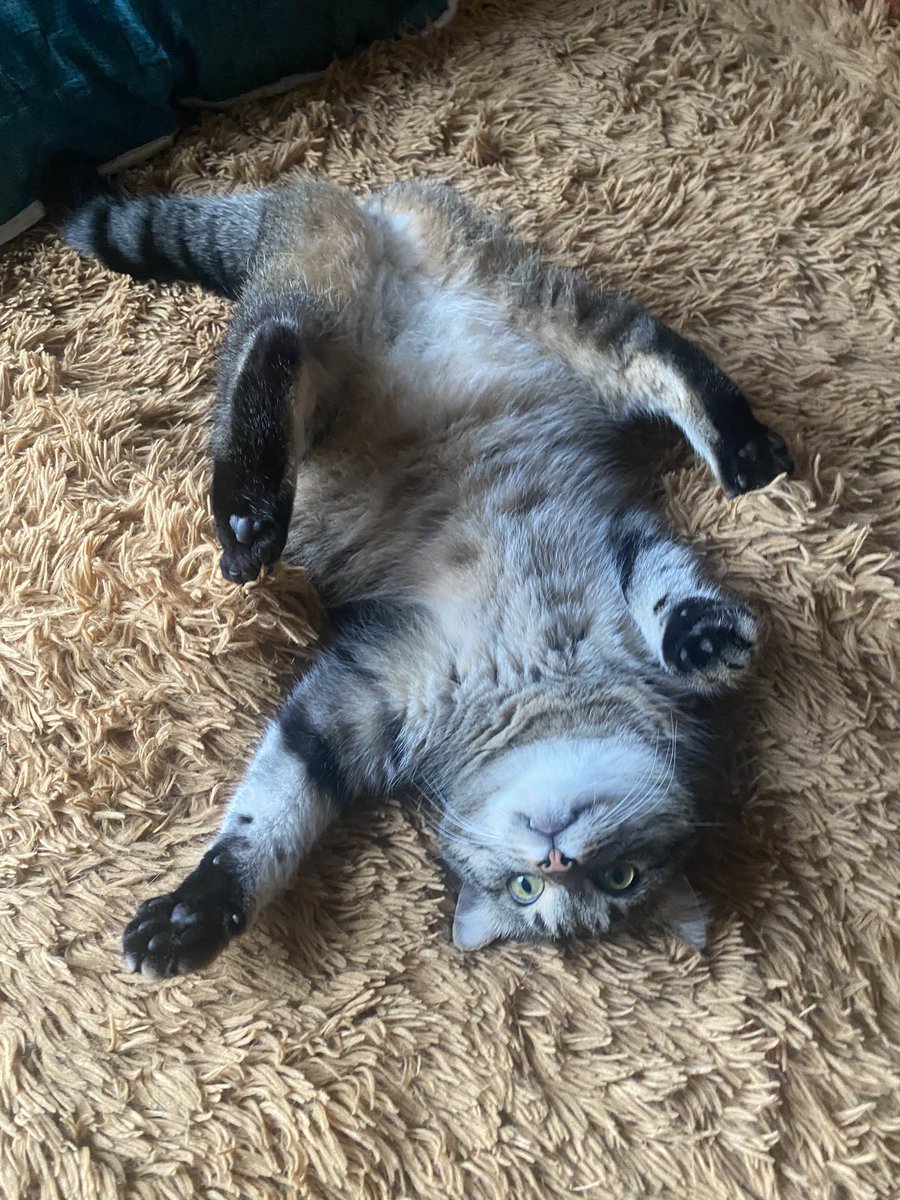 fireaxe 💛 tweet media