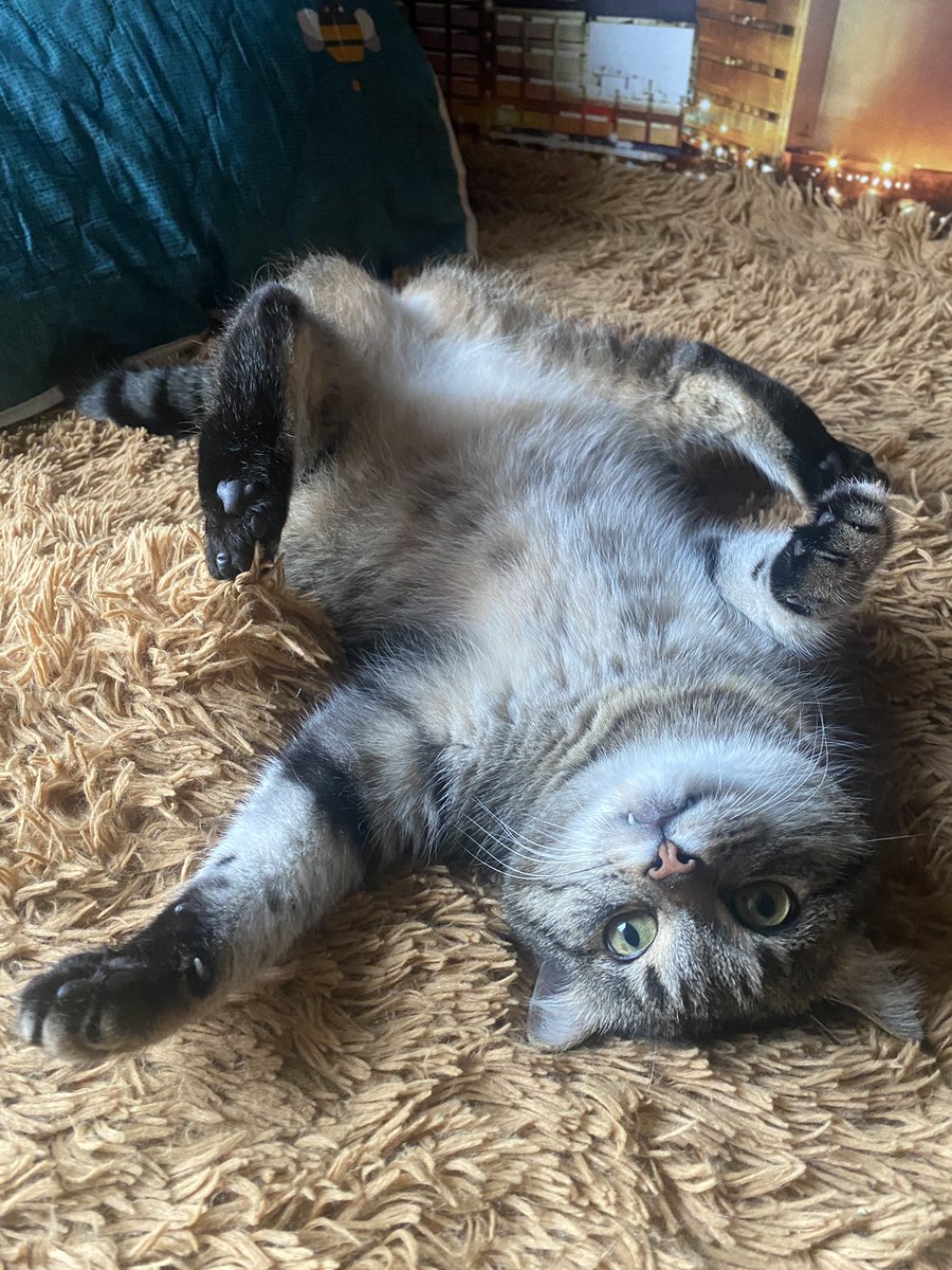 fireaxe 💛 tweet media