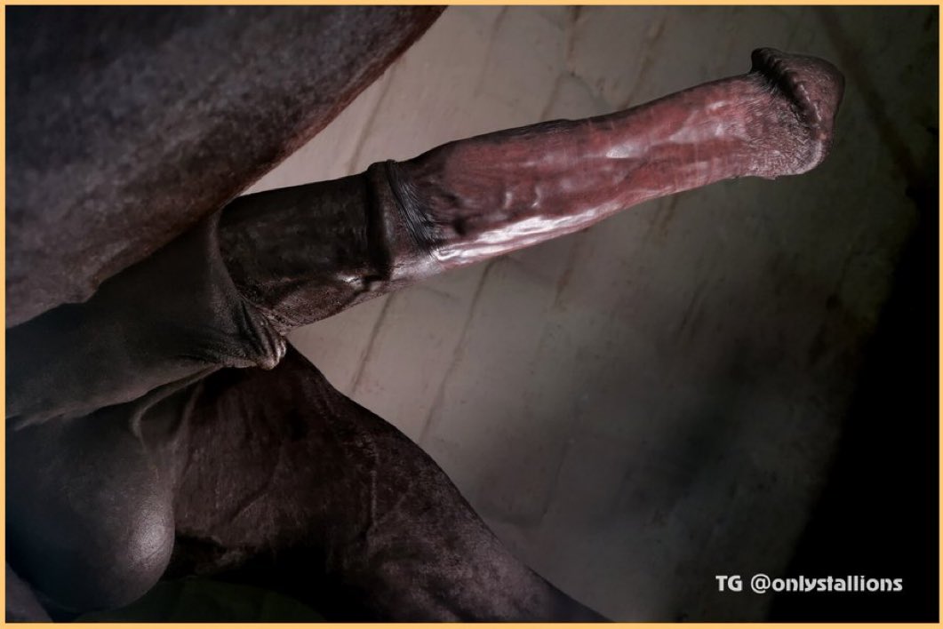 Harley Quinn (@harleyquinn0485) on Twitter photo 