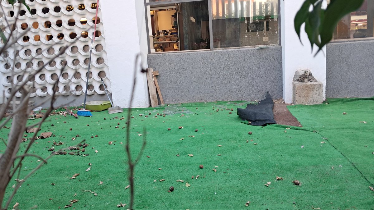 Cristales rotos, moqueta levantada y barrera vegetal para ocultar los "Jardines" del Mercado Central, un mercado municipal <a href="/aytolpgc/">Ayuntamiento de Las Palmas de Gran Canaria</a> que gestiona <a href="/PedroQuevedoIt/">Pedro Quevedo Iturbe</a>, sin duda "UN VERGEL DE BELLEZA SIN PAR".

¿Pensarán que "plantar" plástico es sostenible? ¿PENSARÁN?
<a href="/CarolinaDarias/">Carolina Darias</a>