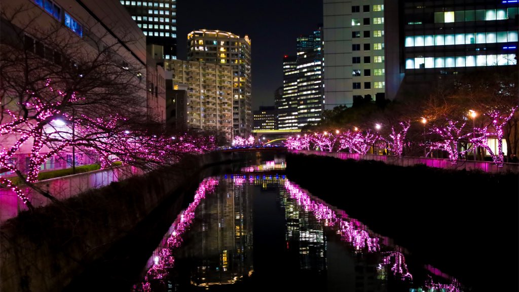 localviewjapan's tweet photo. 目黒川みんなのイルミネーション✨🌉 水辺にきらめく光が舞い、幻想的な雰囲気に心も体も魅了されます。
冬の季節を祝う芸術性と光の息を呑むようなディスプレイをお見逃しなく!❄️💖
#meguroriver #localviewjapan #illumination #japanwinter https://t.co/boXeTeSdYb