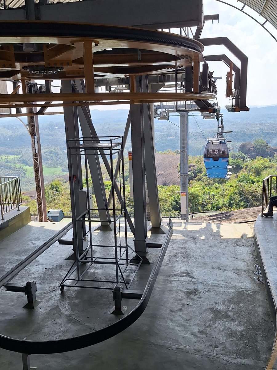 Noa Amsalem tweet media