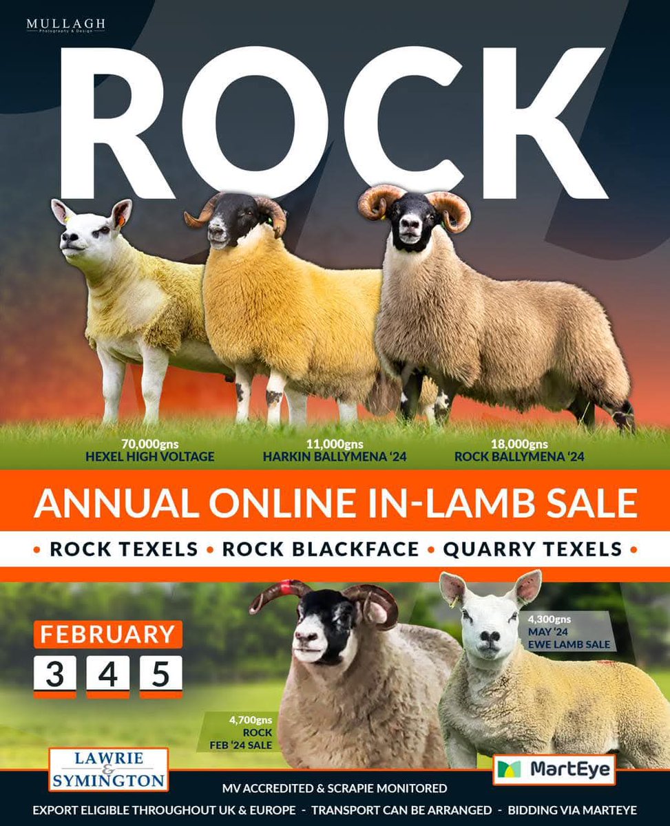 ONLINE IN-LAMB SALE via <a href="/marteye1/">MartEye</a> 

Comprising: Texels (Rock &amp; Quarry flocks) and Blackface (Rock flock)

Bidding Opens: 3rd Feb
Bidding Closes: 5th Feb

More Details: Online Timed Auction for Rock Texels/Blackface &amp; Quarry Texels – 3rd-5th February – Lawrie and Symington