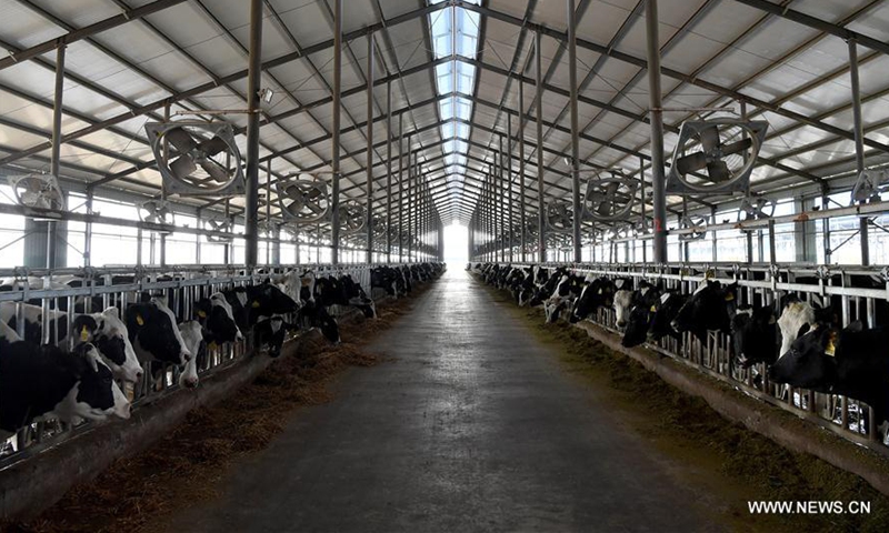 中国国内牛飼育 セーフガードで保護される国内産業