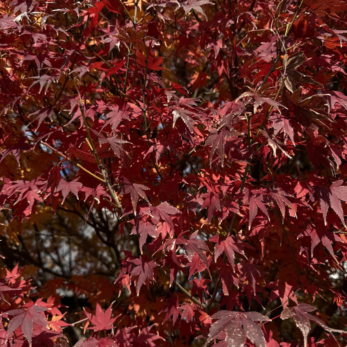 ta_to00's tweet photo. AW🍂 https://t.co/v4Op453Gre