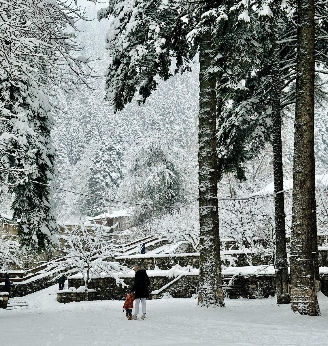 EnjoyThessaly's tweet photo. #pertouli #trikala #greece . Book now at https://t.co/StWHTe8hQz #travel #nature #winter https://t.co/Fht8vjr7Ss