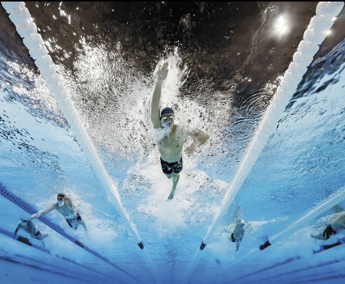 Lab20_24's tweet image. L’effet aquatique… Donc 3 nageurs champions des champions 2024… Ok… #popdata 💪🏼💦🦈🐋🐠