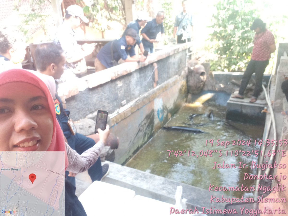 atinda_p's tweet photo. Kamis(19/09),Putri AP luhkan Sleman di Ds Donoharjo, bersama tim PSDKP DIY &amp; Bidang perikanan Sleman, melaksanakan penyitaan ikan invasif alligator sebanyak 5 ekor untuk dimusnahkan #Giatluhkansatminkaltegal #kegiatanpenyuluh #luhlapor #sleman @PKBLU_bp3tegal @pusluhkp @bppsdm_kp https://t.co/WQFLpDF6eZ