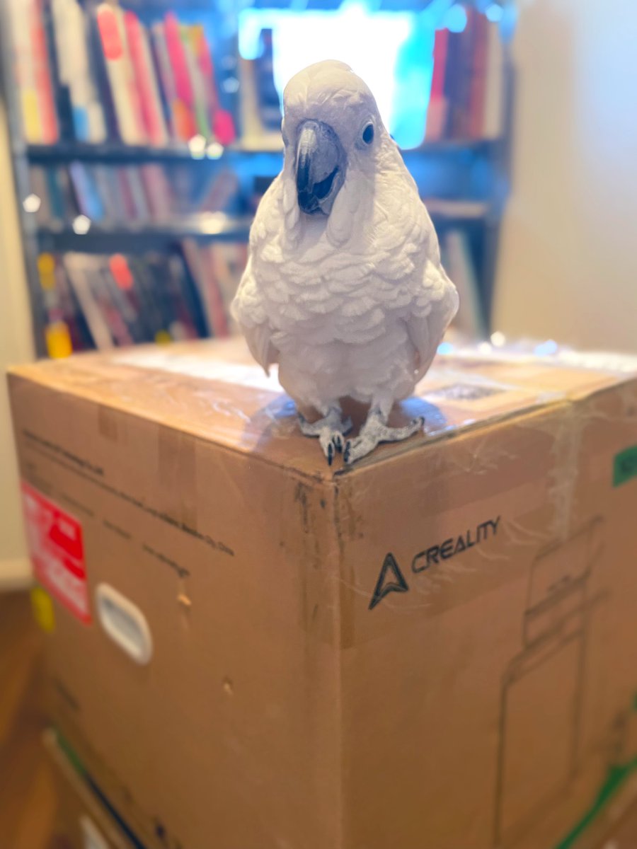 mask_3dcg's tweet photo. 鳥ちゃんが大きな箱を🕊️運んできてくれました‼️一体なんだろう📦。お楽しみに‼️
#creality #k2pluscombo #3Dプリンター https://t.co/XNO78iJOGc