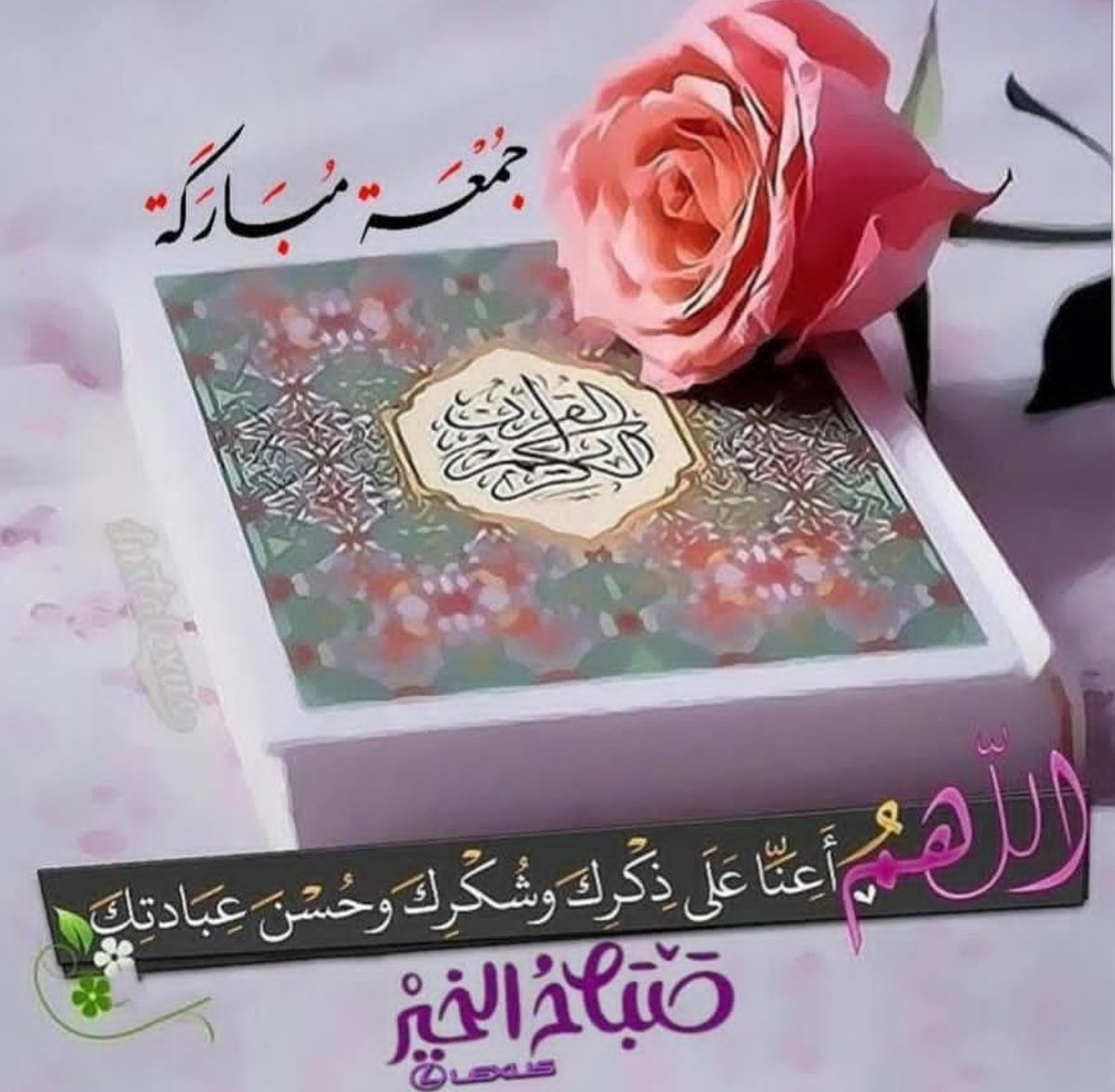 سناء نايف (@alaanaif) on Twitter photo 