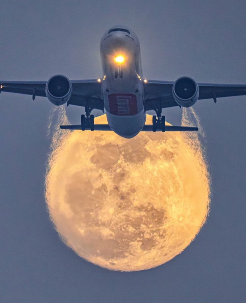 MOON LOVER tweet media