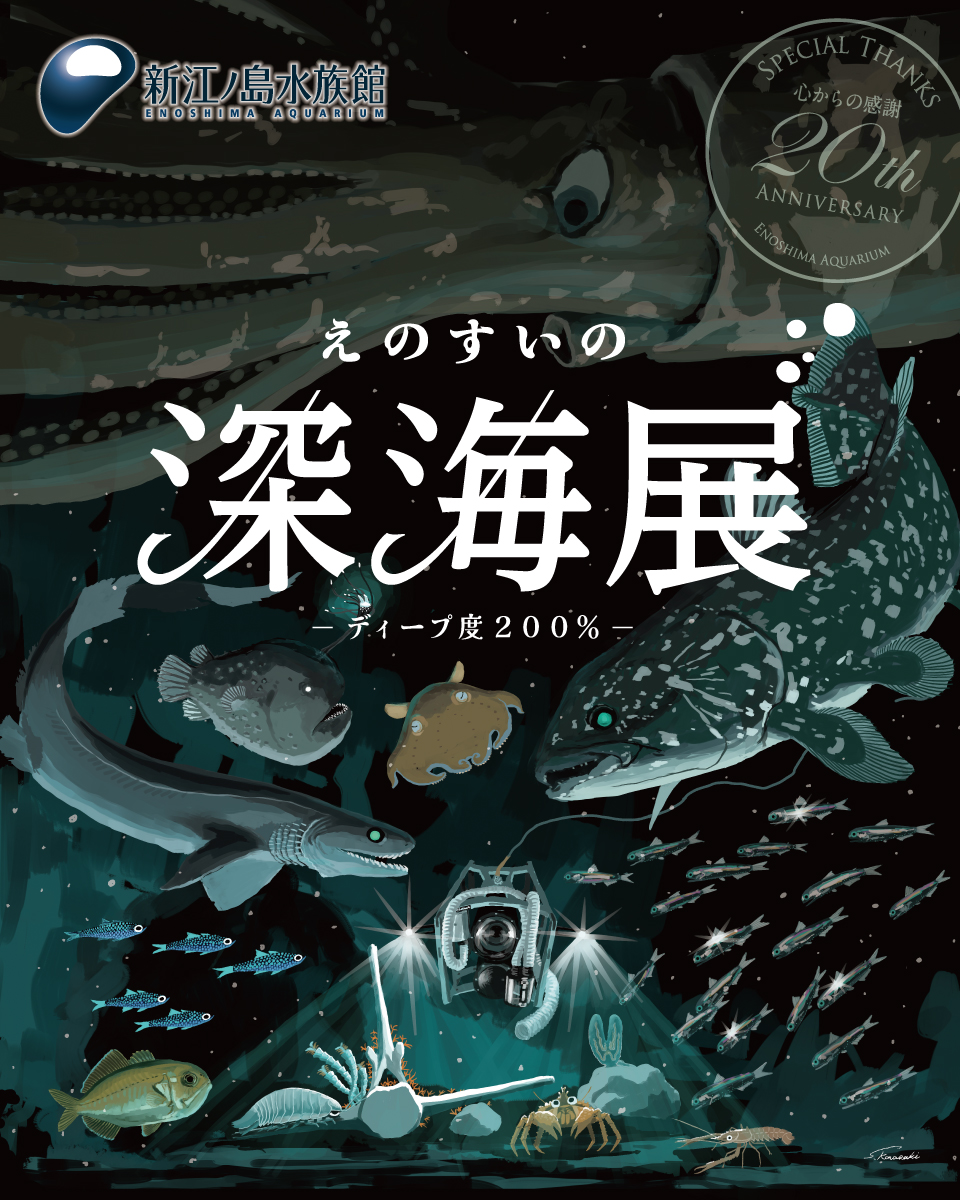 新江ノ島水族館 #えのすいの深海展 開催中🦑 ディープな企画