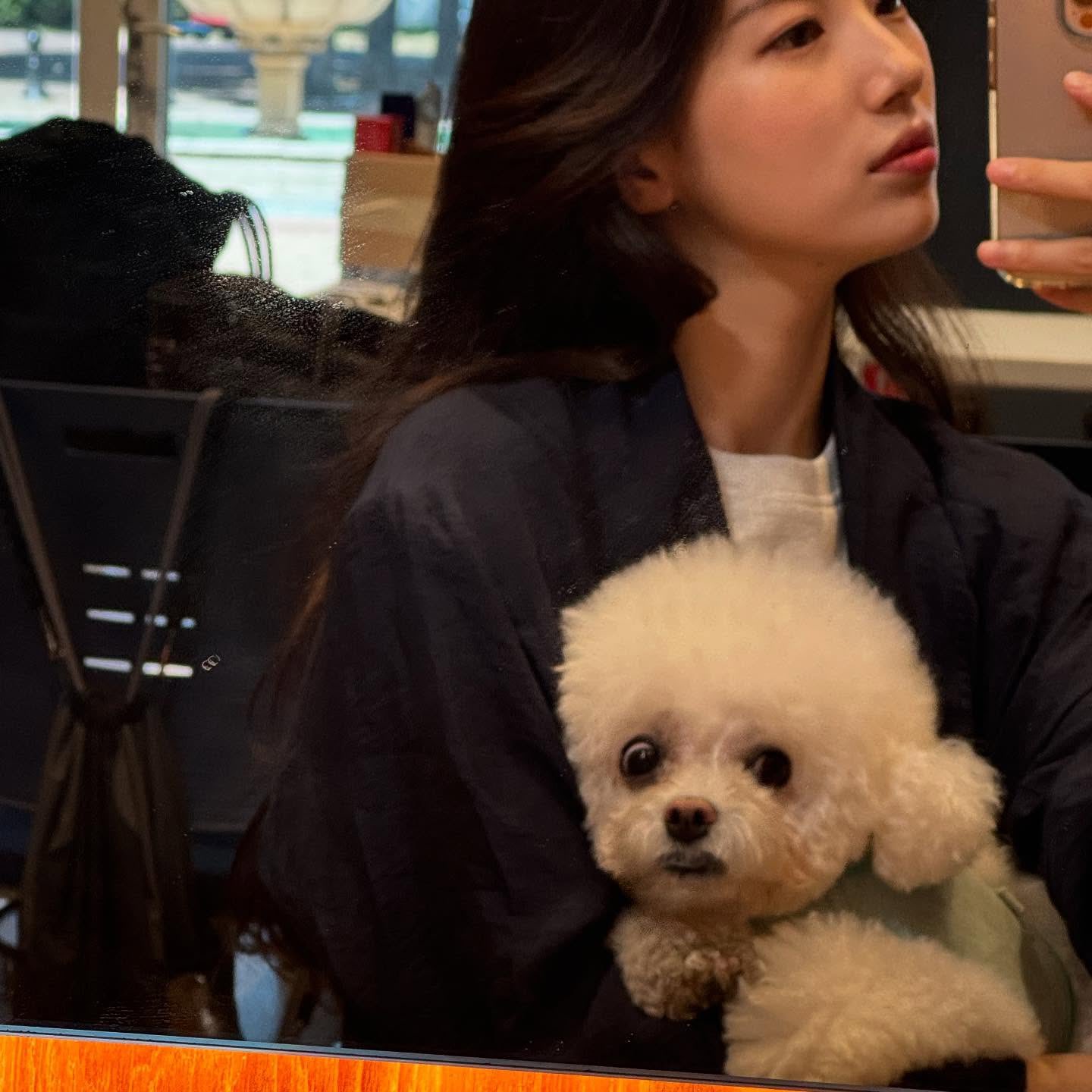이미지