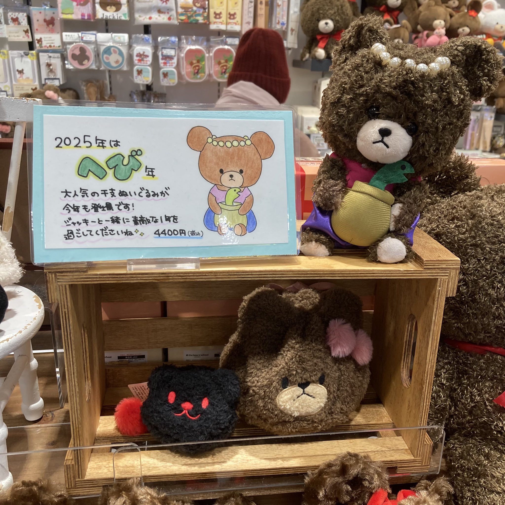 くまのがっこう on X: 