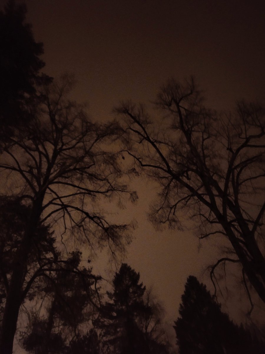 consertum's tweet image. This is the place I told you to expect. Here you shall pass among the fallen people, souls who have lost the good of intellect.
Dante Alighieri / The Divine Comedy / Canto III / The Vestibule of Hell