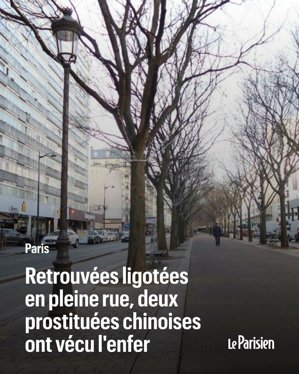 Un homme de 54 ans a été interpellé le 16 décembre et placé en détention provisoire. 

Il est suspecté notamment d’avoir tranché la gorge d’une travailleuse du sexe chinoise le 5 novembre à Paris.

L'homme vouerait une haine aux travailleuses du sexe

➡️ l.leparisien.fr/iSnC