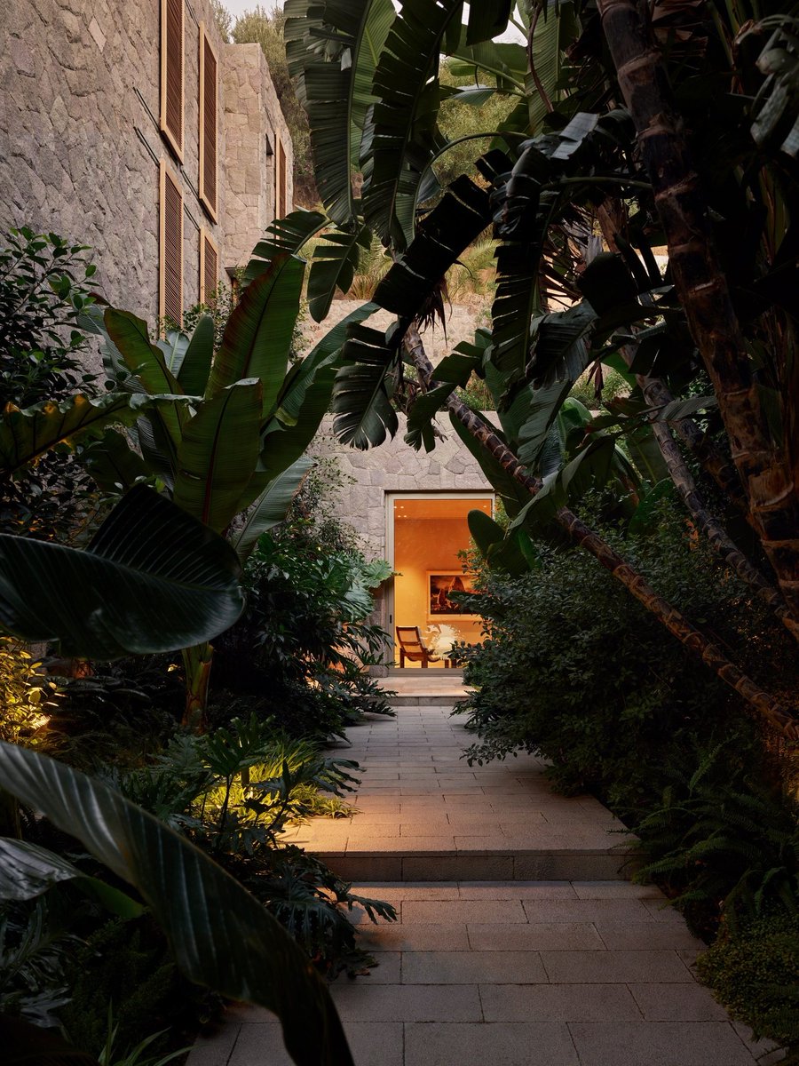 AD México tweet media