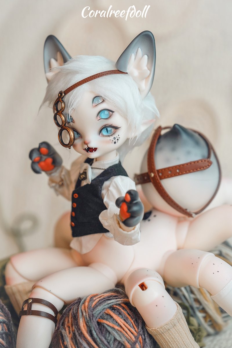 Coralreefdoll 🕷️新作ドール🐱

蛛咪（ZhuMi）23.5cm 1/6サイズ 

ヘッドは開け口タイプと閉じ口タイプ、耳も2タイプあります！お好みでご選択頂けます！😉

現在注文ページ編集中！まもなく受注開始予定です！👏

#bjd #legenddoll #dolls #蜘蛛 #猫 #新作予告