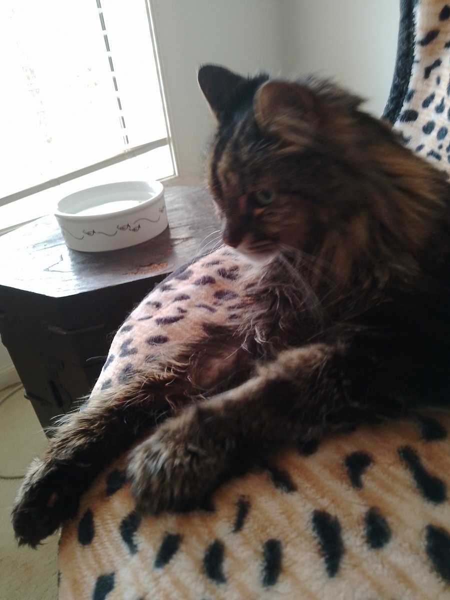 So hot today guys. 37c . A real scorcher........ ☀️☀️☀️☀️☀️☀️☀️