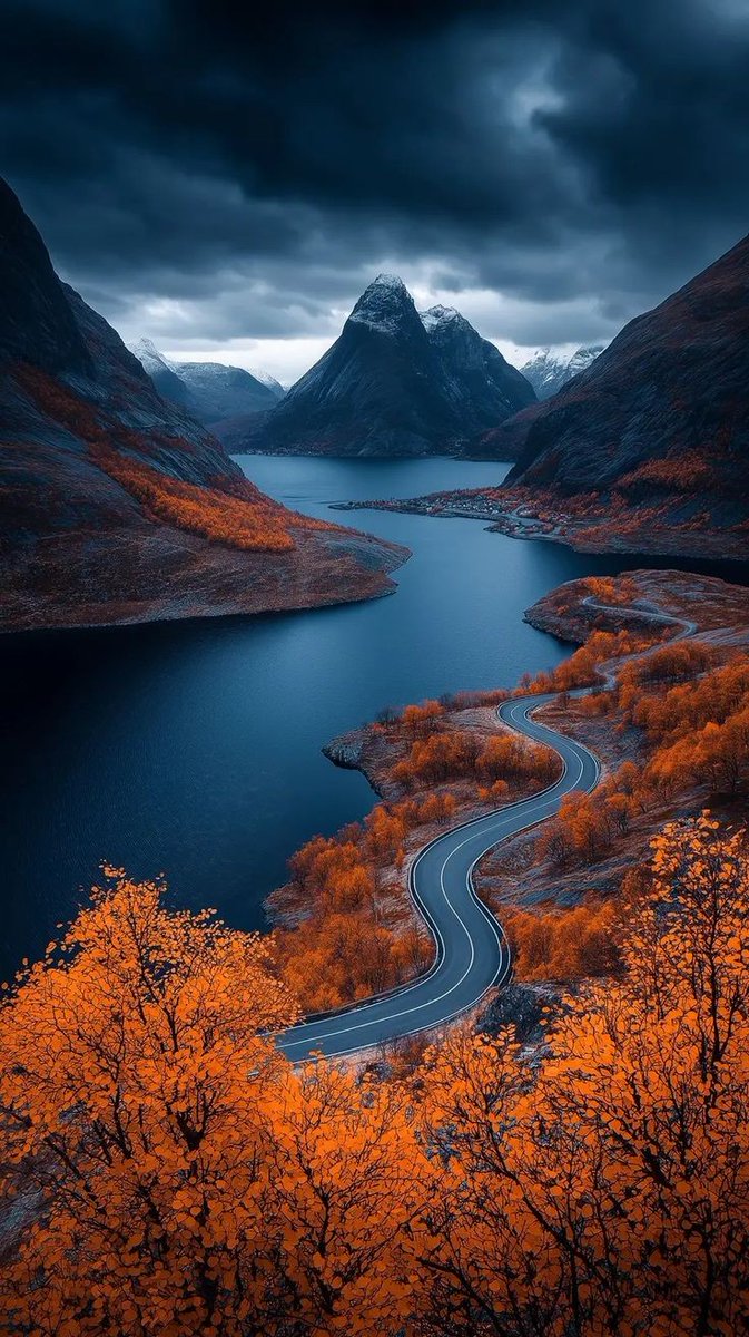 Nature 🌱 (@nature_forum) on Twitter photo 