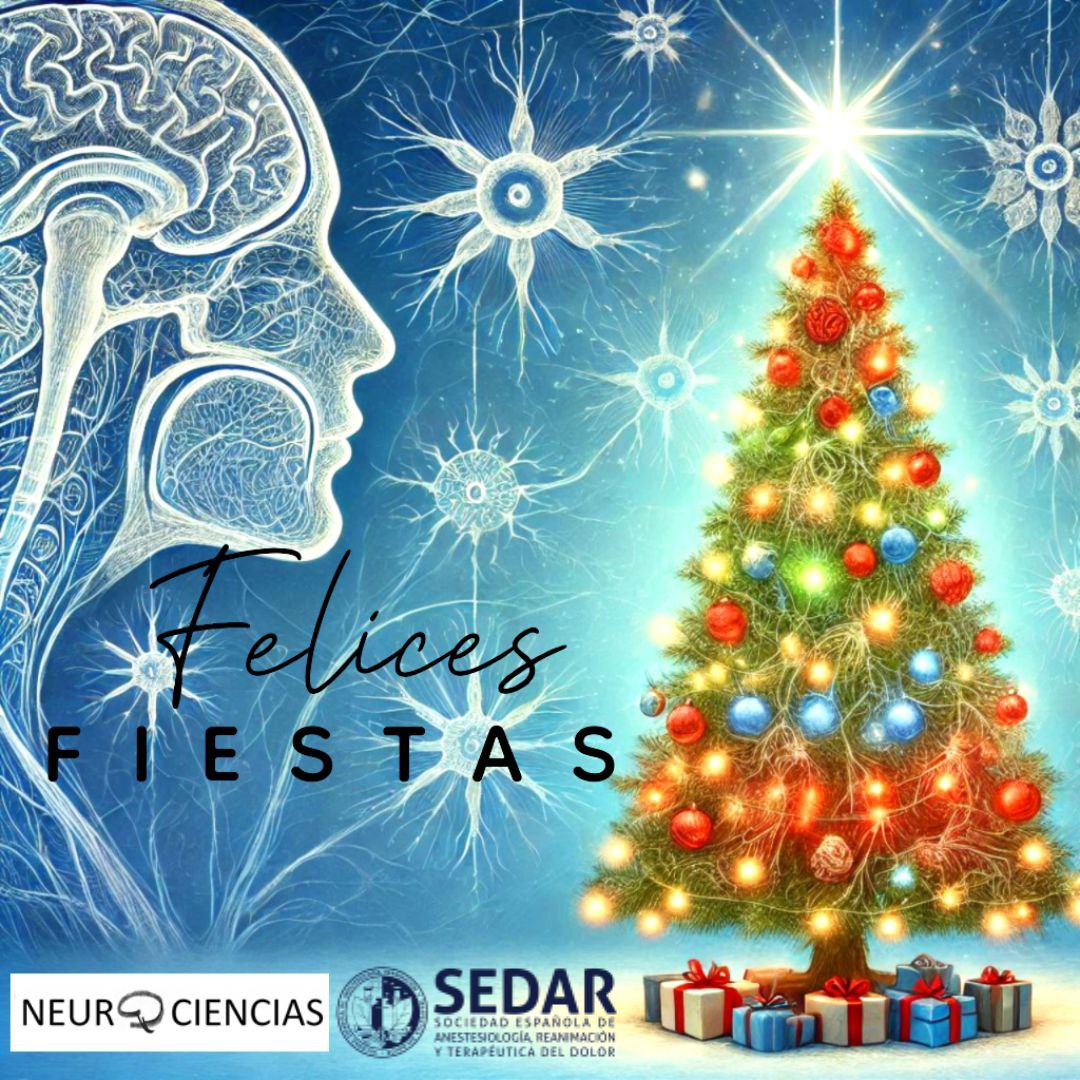 sedar_es's tweet photo. 🎄✨ Felices Fiestas ✨🎄 

Desde la Sección de #NeurocienciasSEDAR, queremos desearos unas felices fiestas y un próspero año nuevo.

🧠 Que el 2025 nos traiga nuevos proyectos y aprendizaje. https://t.co/nd4BEfPw9v