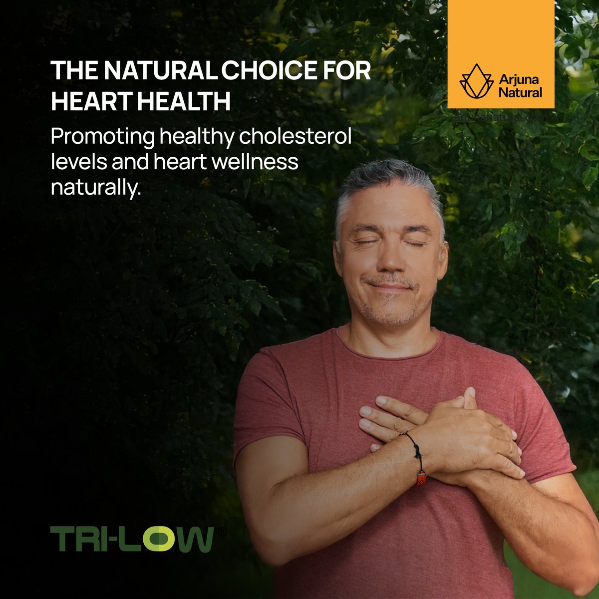 arjuna_natural's tweet image. Tri-Low® is a clinically proven extract standardised with ALA-bound diacyl glycerol to promote comprehensive cardiac health. This premium formulation also helps to boost energy levels and strengthen immune function. 
#Arjunanatural #Tri-Low #Clinicallytested #Heart  #Gooseberry