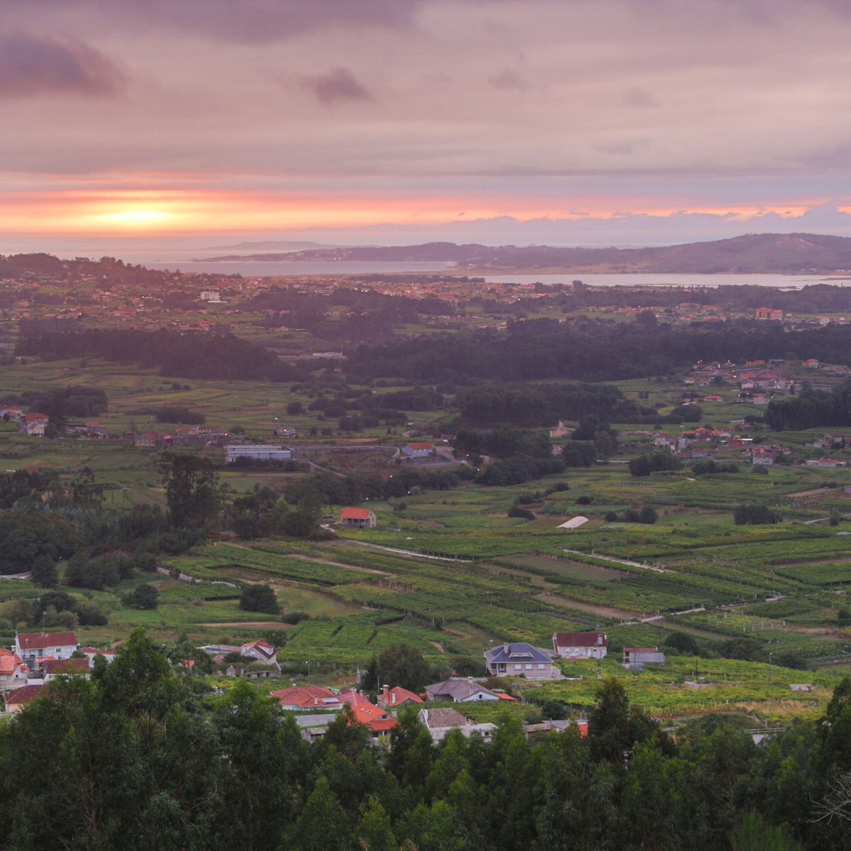 🎁 ¿Regalos de Reyes complicados?

Con una Experiencia en Vionta, acertarás seguro. 💙🍷 Estamos en Meaño, muy cerca de Cambados y Sanxenxo. Ven y descubre la auténtica esencia de las Rías Baixas.

🌐 visitas.ferrerwines.com/visitas-vionta/

❗WINE IN MODERATION