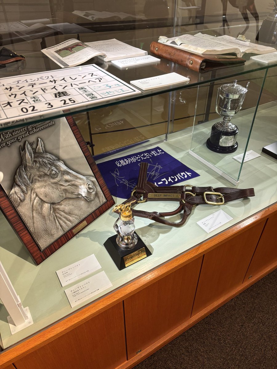 Abstractblued's tweet image. 見に行きました🥰#競走馬 #ノーザンホースパーク