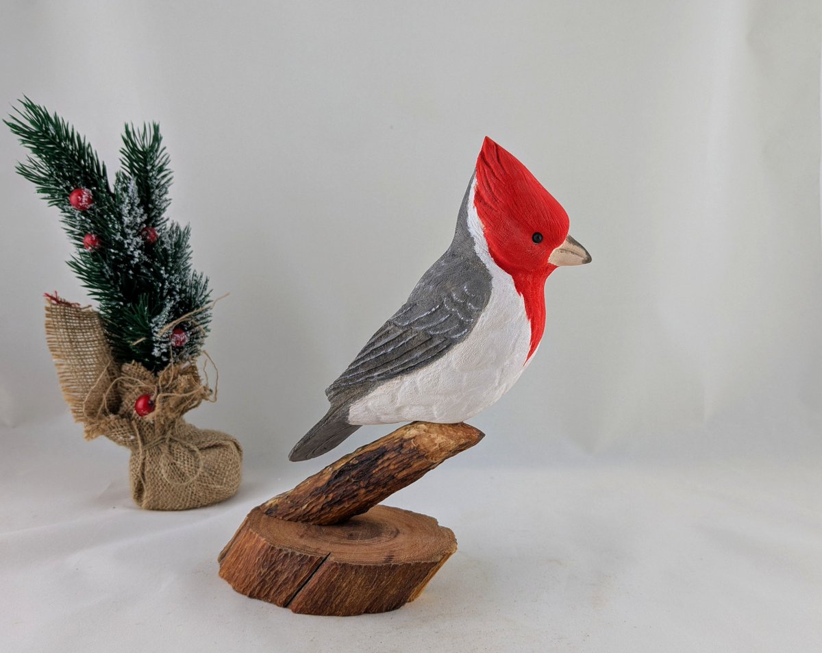 StPirovski's tweet photo. Red-crested cardinal wood carving
https://t.co/3Ad1tsJPnu https://t.co/lpAjkJDtus
