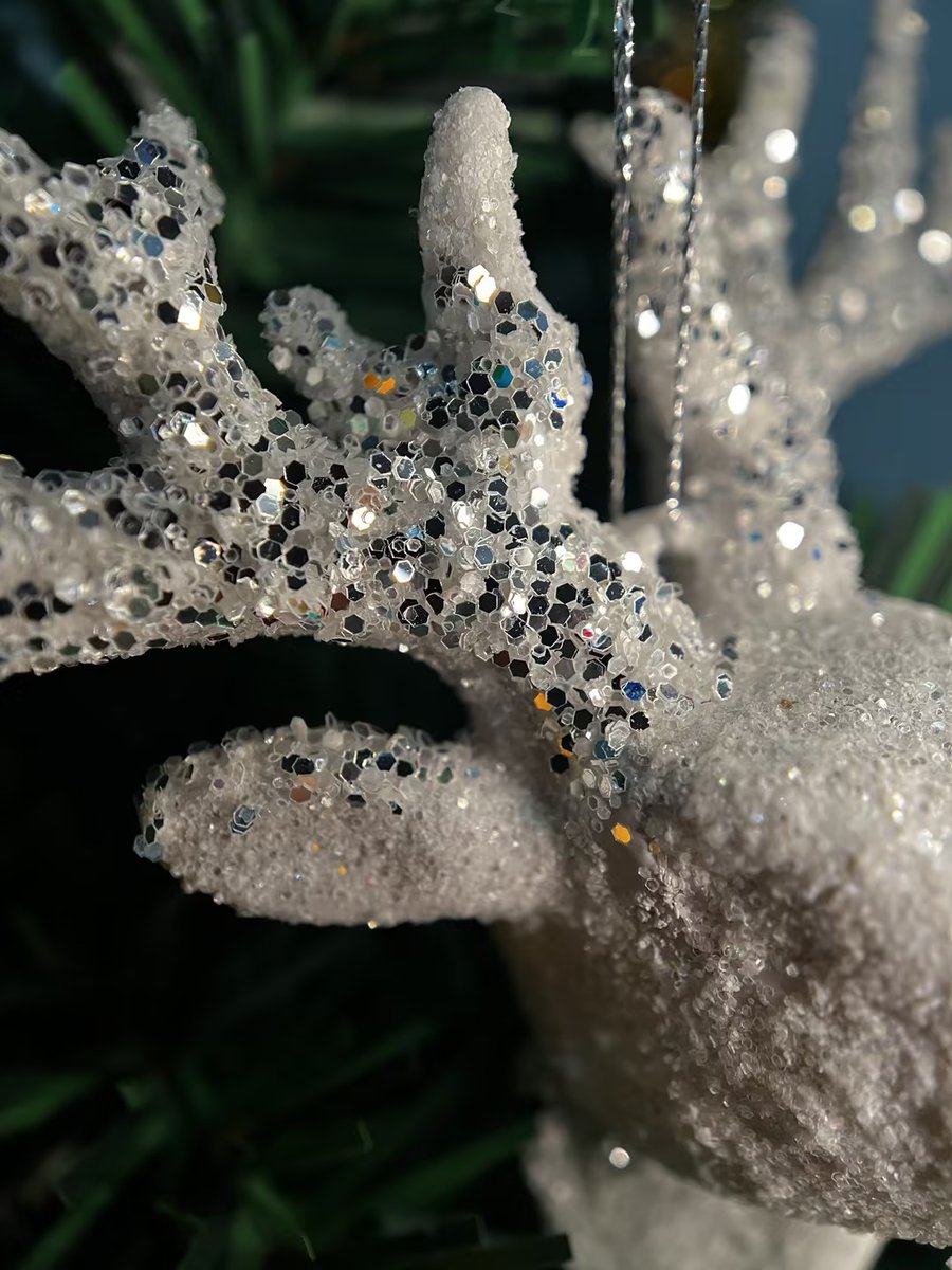 Apexel_Lens's tweet photo. Details of the Deer!

📸iphone with an ZoomMacro Lens added on
#apexel #Christmas #Christmas2024 #Christmasgifts #MステSUPERLIVE #SquidGame2 #GavinAndStacey #deer https://t.co/CcnrQkXsZJ