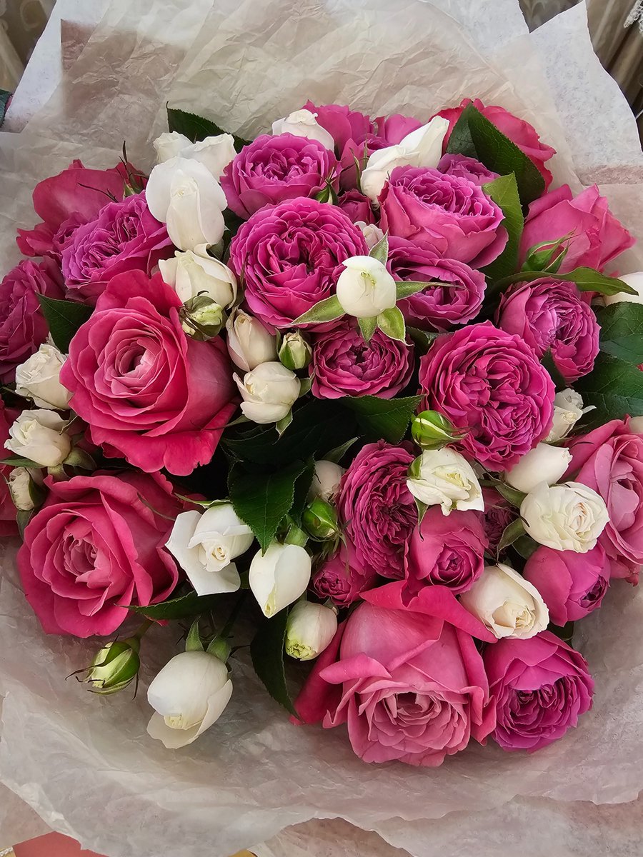 Happy birthday to me!🌺