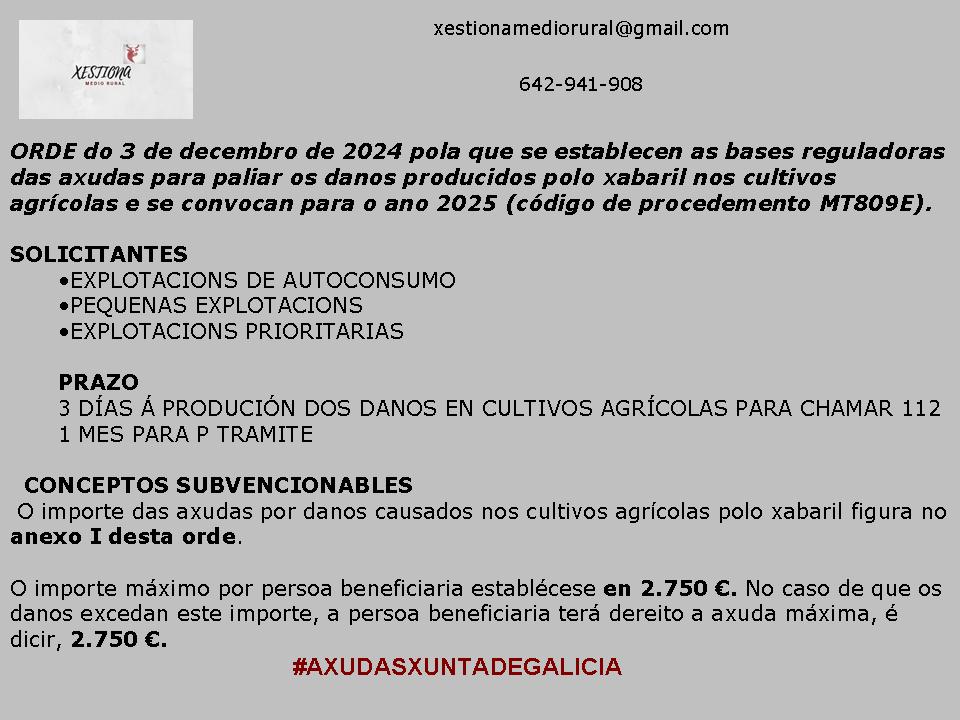 Tramitacion de axudas, mais info 642 941 908