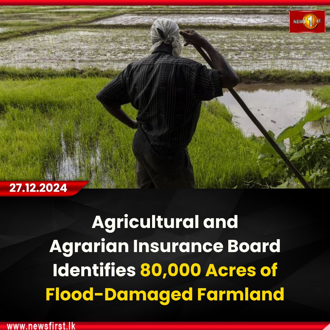 NewsfirstSL's tweet photo. Agricultural and Agrarian Insurance Board Identifies 80,000 Acres of Flood-Damaged Farmland
Details: https://t.co/BJamwQGLtN
#news1st #NewsFirst #NewsFirstEnglish #SriLanka #local #colombonews #latestnews #agragarian #agricultural #insuranceboard #flooddamagedlands https://t.co/HxCvuboR47