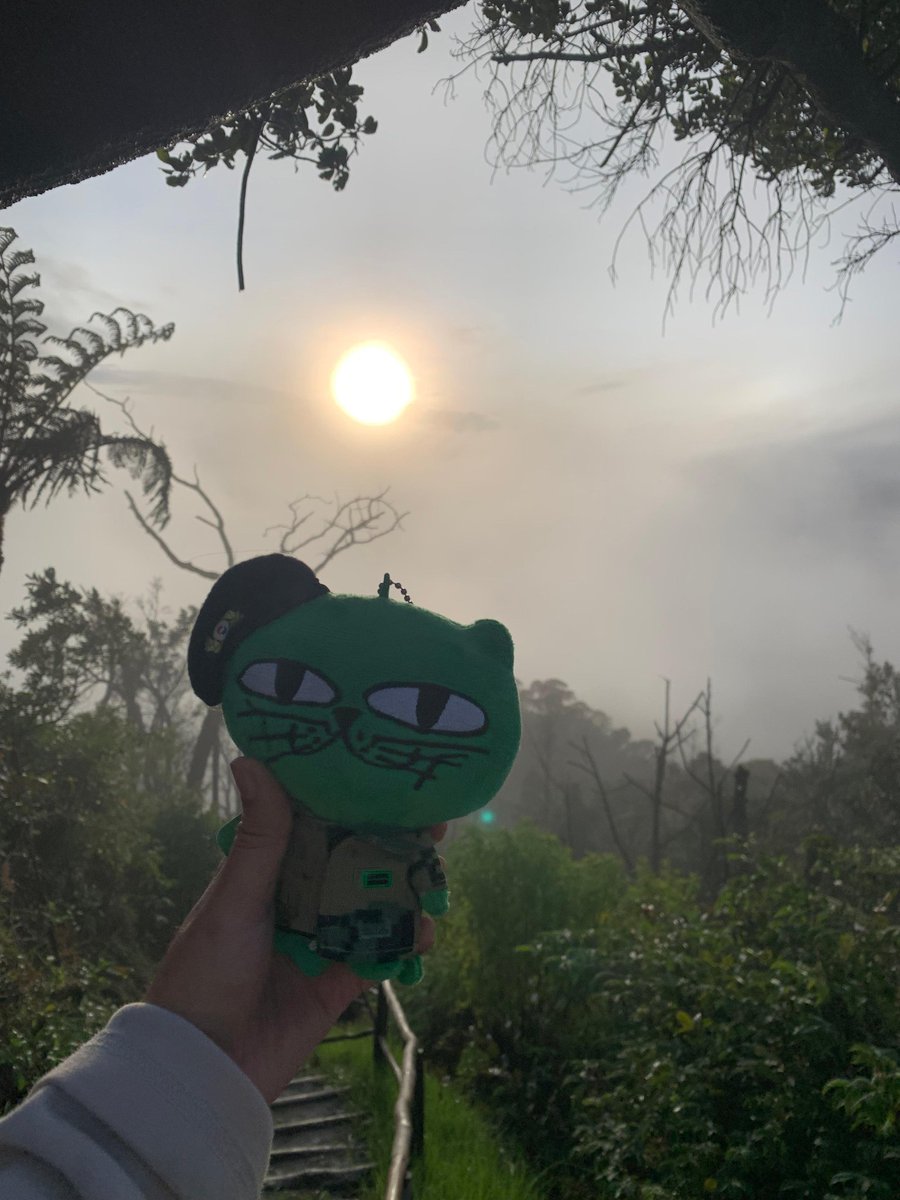 jufialfi's tweet photo. Happy birthday Ok Taecyeon 💚 
#taecyeonday 
#Happy_TY_Day 
#Taecyeonbirthday 
#happybirthdayoktaecyeon https://t.co/ycQFUYMiqK