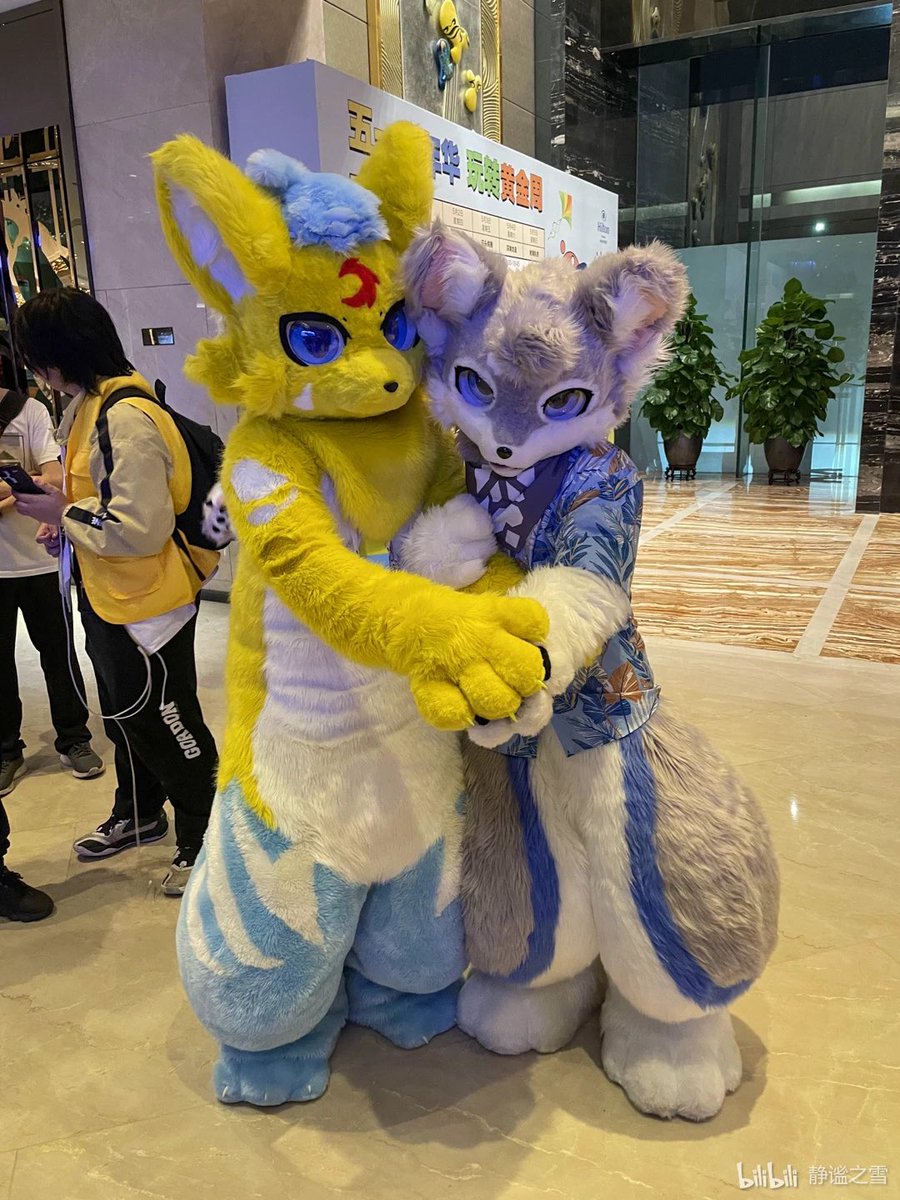 赶上了年底的 #fursuitfriday （上半年的图了，下半年忙的毛都没多摸），大家都好可爱，希望明年有更多机会抱抱