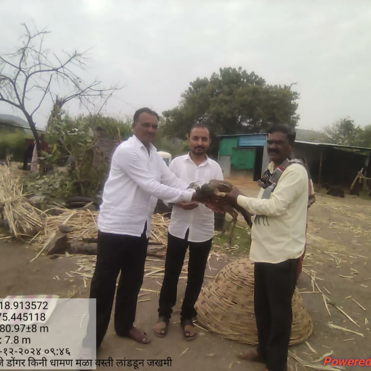 PtrkarAmol's tweet photo. #छोट्याश्या प्रयत्ना मुळे एका मुक्या प्राण्यांचा जीव वाचला यातच खूप मोठा आनंद आहे.आणि कुठे जर जखमी अवस्थेत प्राणी,पक्षी आढळल्यास युवकांनी त्यांना वाचवण्यासाठी पुढे यावे.
-अमोल हनुमंत येवले 
प्रगतिशील शेतकरी
@InfoBeed @DEFCCOfficial 
@SureshDhasBJP #PeacockSanctuary https://t.co/8SfKGeKVT5