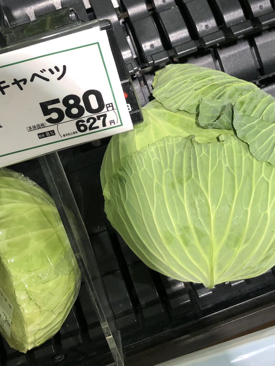 ω股の下のポニョω🐞 (@ponyo_6b) / Posts / X