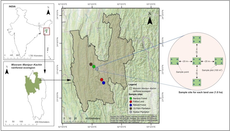 Land-use change in South Asia's moist tropics alters soil stability &amp; carbon dynamics. This study highlights the effects of converting forests to plantations on soil aggregation and organic carbon, underscoring the importance of sustainable land management shorturl.at/7Db8s